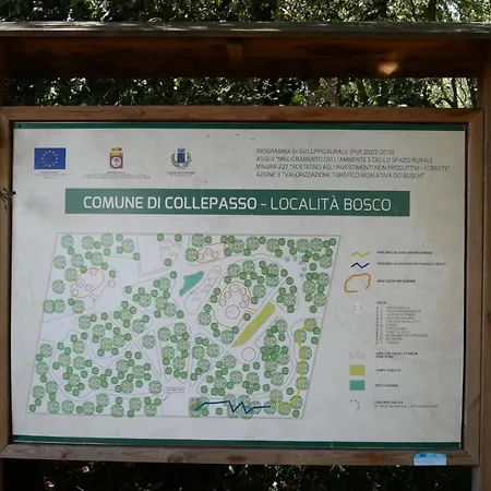 Casa Carolina Apartment Collepasso